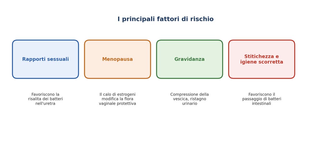Schema dei principali fattori di rischio per la cistite femminile: rapporti sessuali, menopausa, gravidanza, stitichezza e igiene scorretta